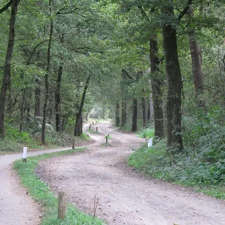 Nocleg ze śniadaniem Den Achterhof Uden