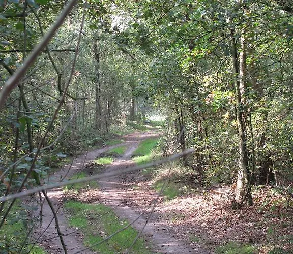 Den Achterhof Bed & Breakfast