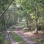 Den Achterhof לינה וארוחת בוקר