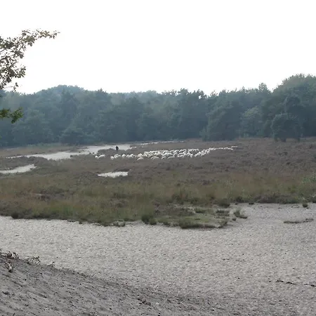 Bed and Breakfast Den Achterhof *