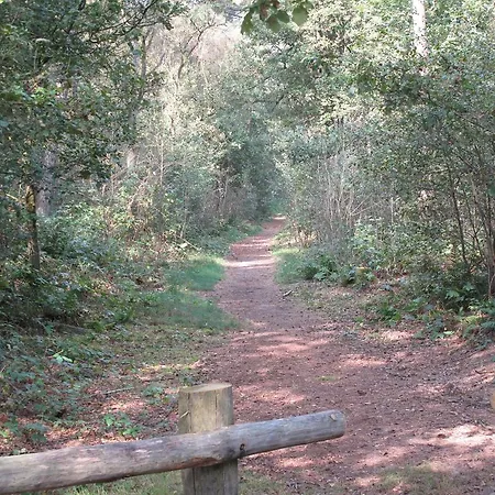 Den Achterhof