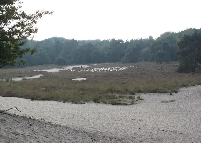 Bed and Breakfast Den Achterhof *