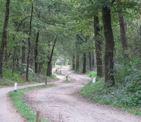 Bed and Breakfast Den Achterhof Uden